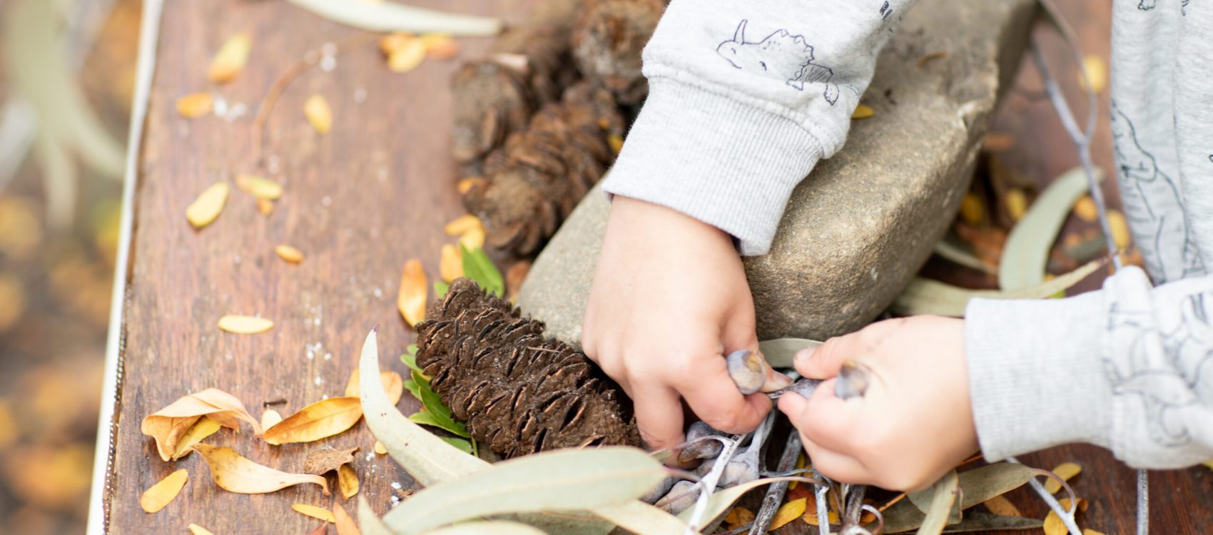 “The children develop respect for the environment, the past and our future and become pioneers for change.” WSK parent